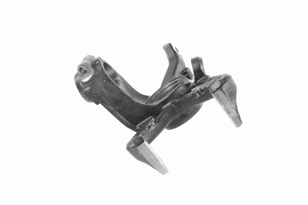 Steering Knuckle, wheel suspension - V10-3033