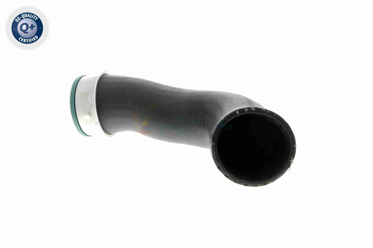 Charge Air Hose - V10-3816