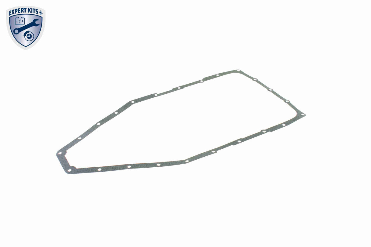 Parts Kit, automatic transmission oil change - V20-2083