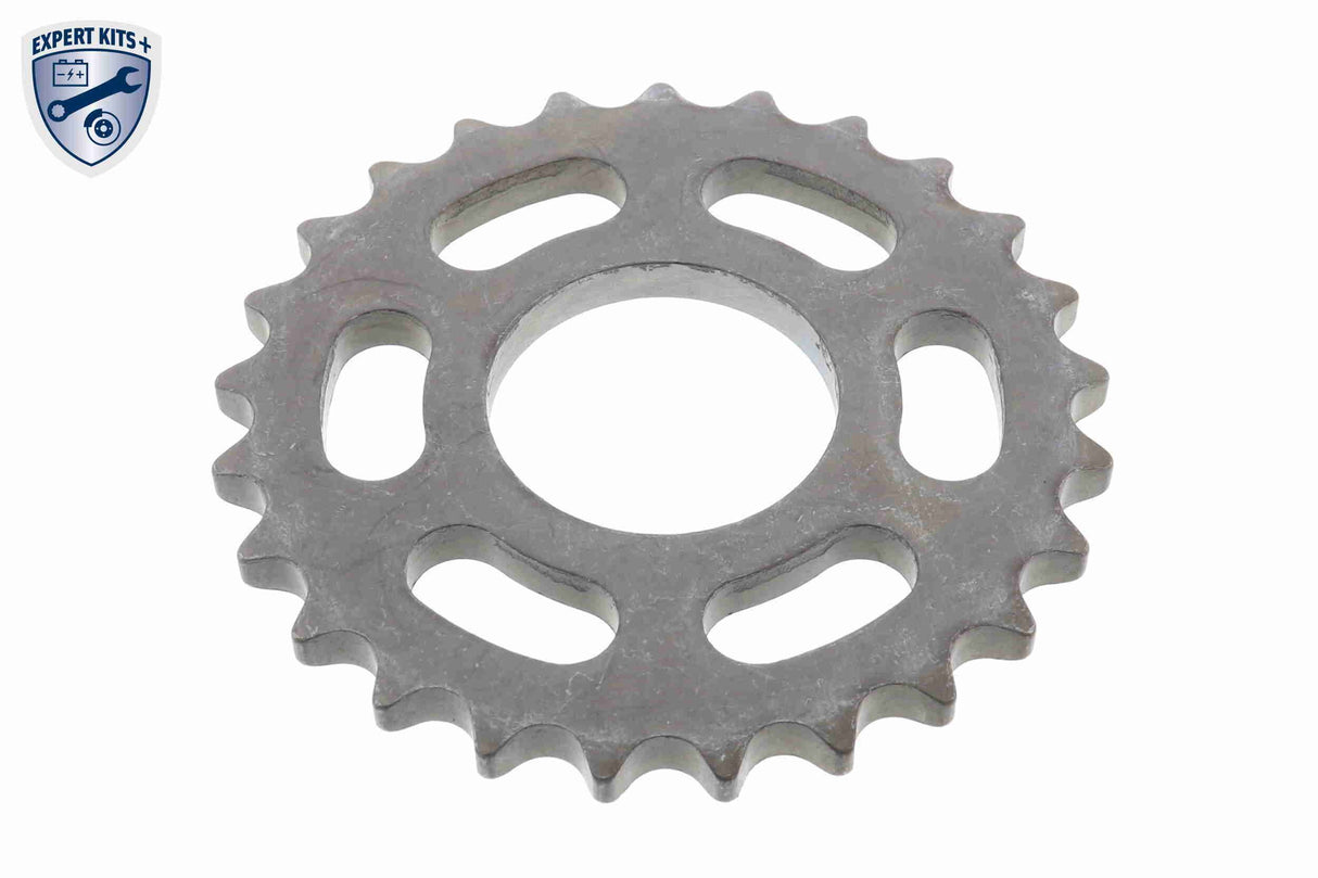 Timing Chain Kit - V10-10020