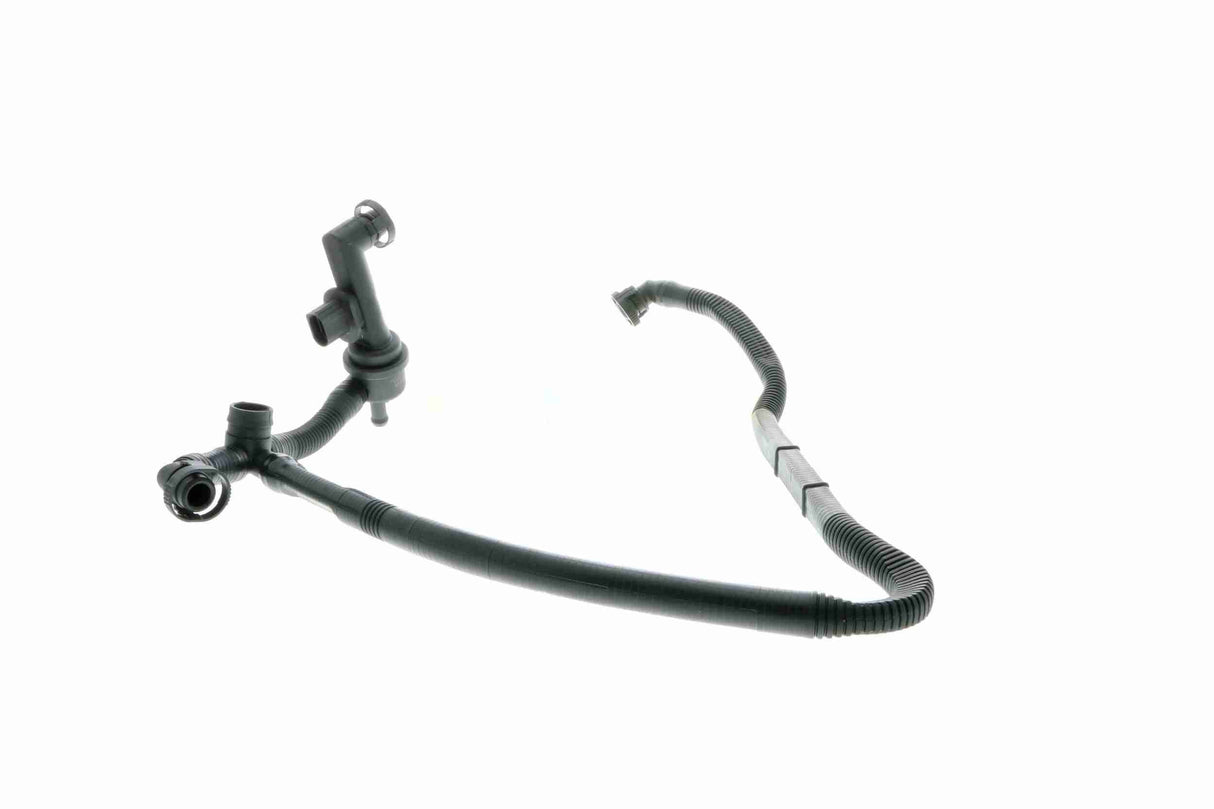 Hose, crankcase ventilation - V10-3094