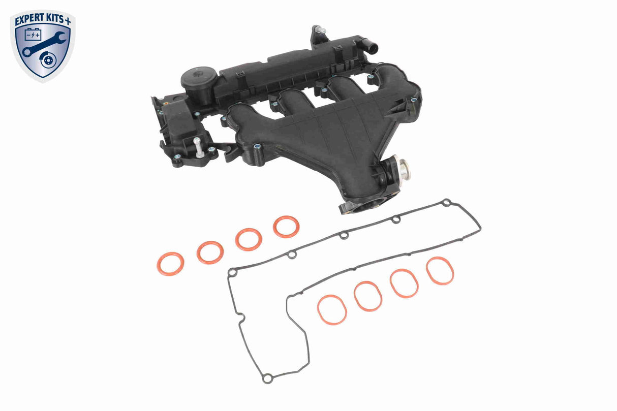 Cylinder Head Cover - V42-1046