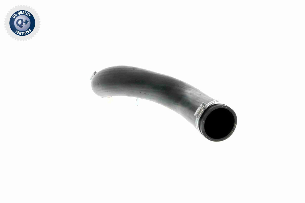 Charge Air Hose - V10-3832