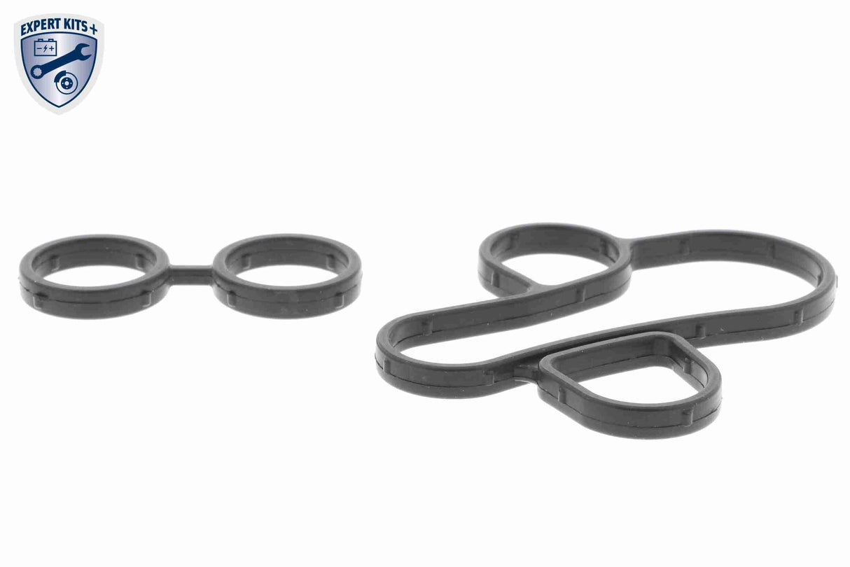 Oil Cooler, engine oil - V24-60-0014