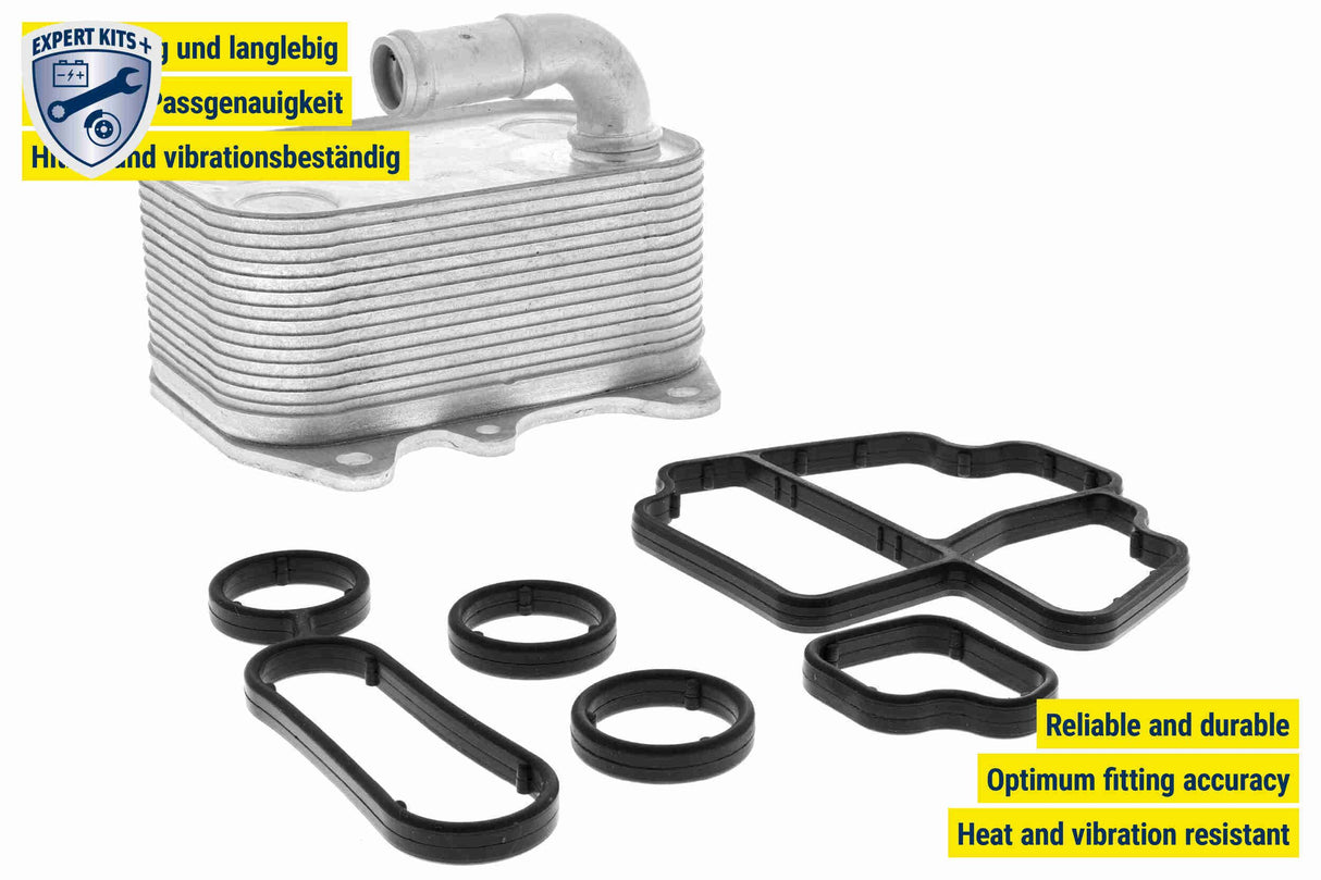 Oil Cooler, engine oil - V15-60-6089