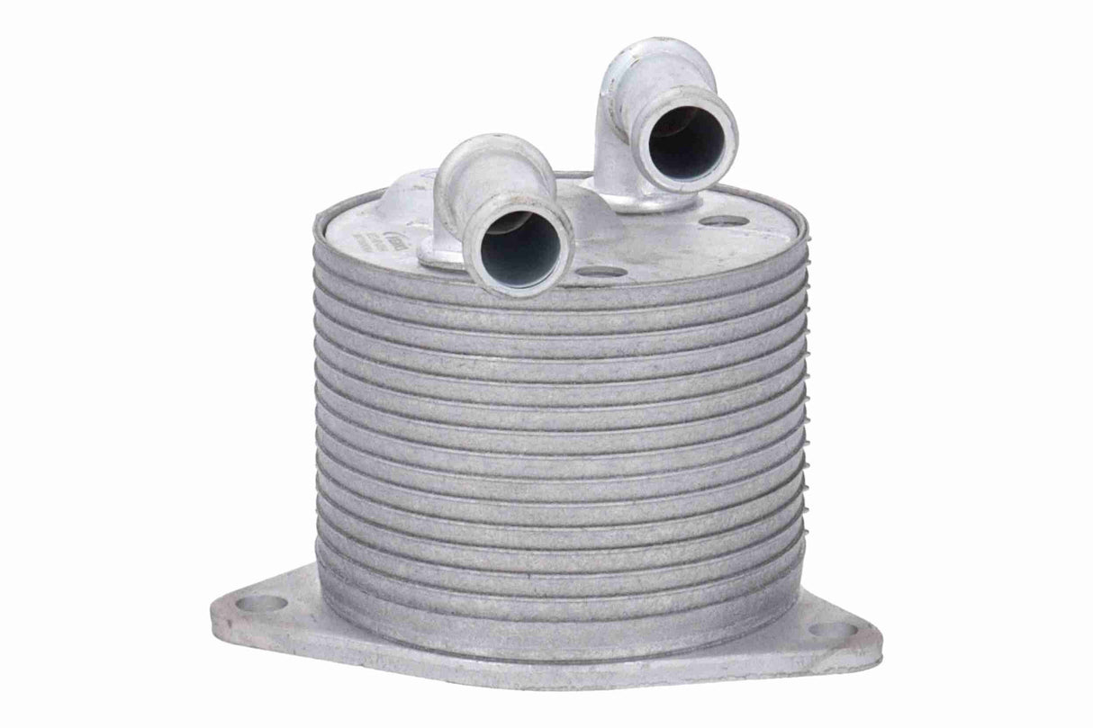 Oil Cooler, automatic transmission - V22-60-0064