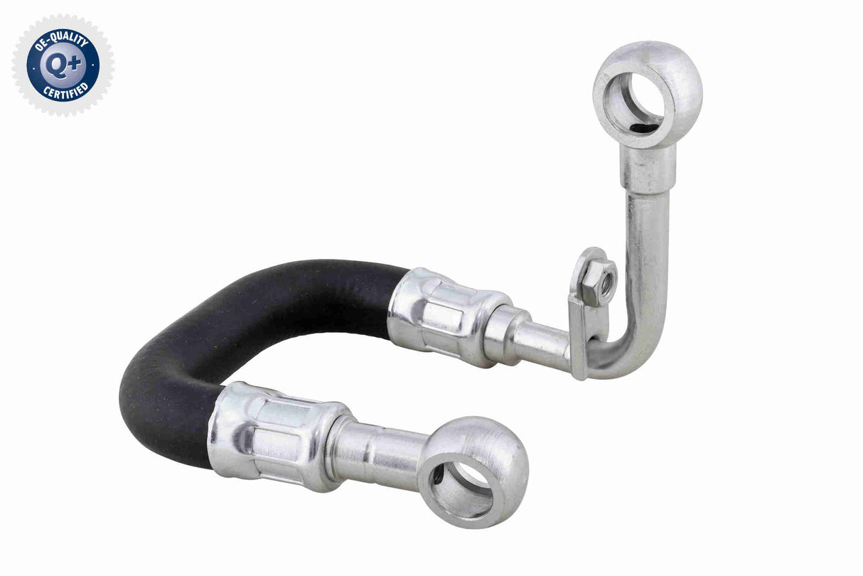 Radiator Hose - V10-6926
