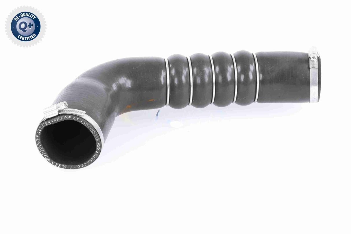 Charge Air Hose - V10-3794