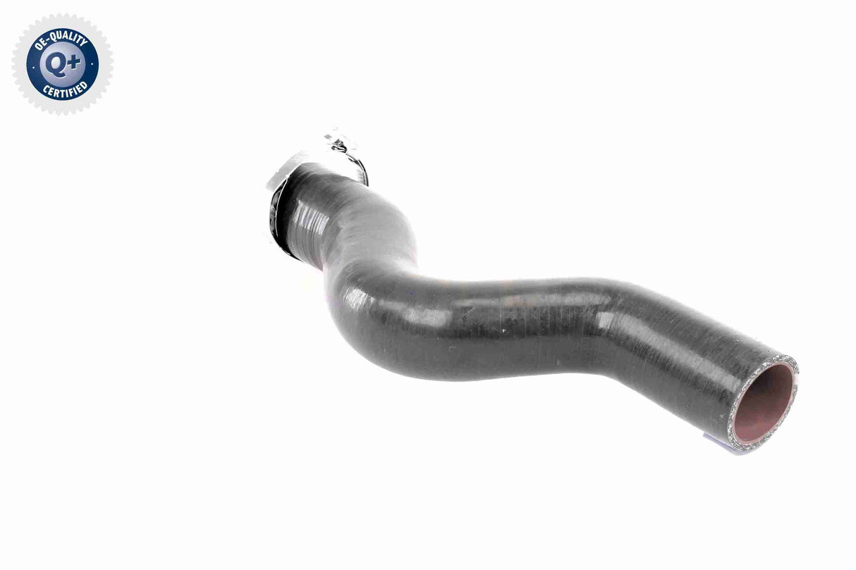 Charge Air Hose - V46-1034