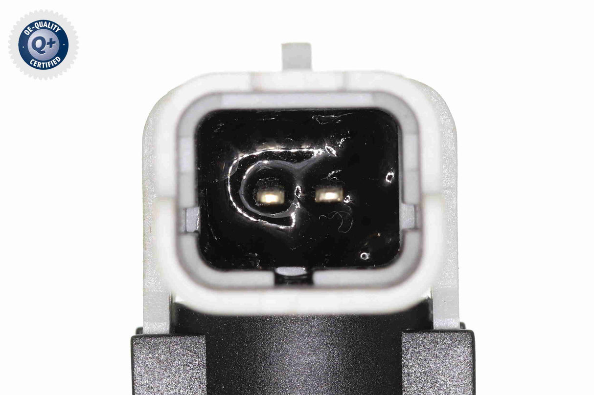 Hose, fuel overflow - V46-1209