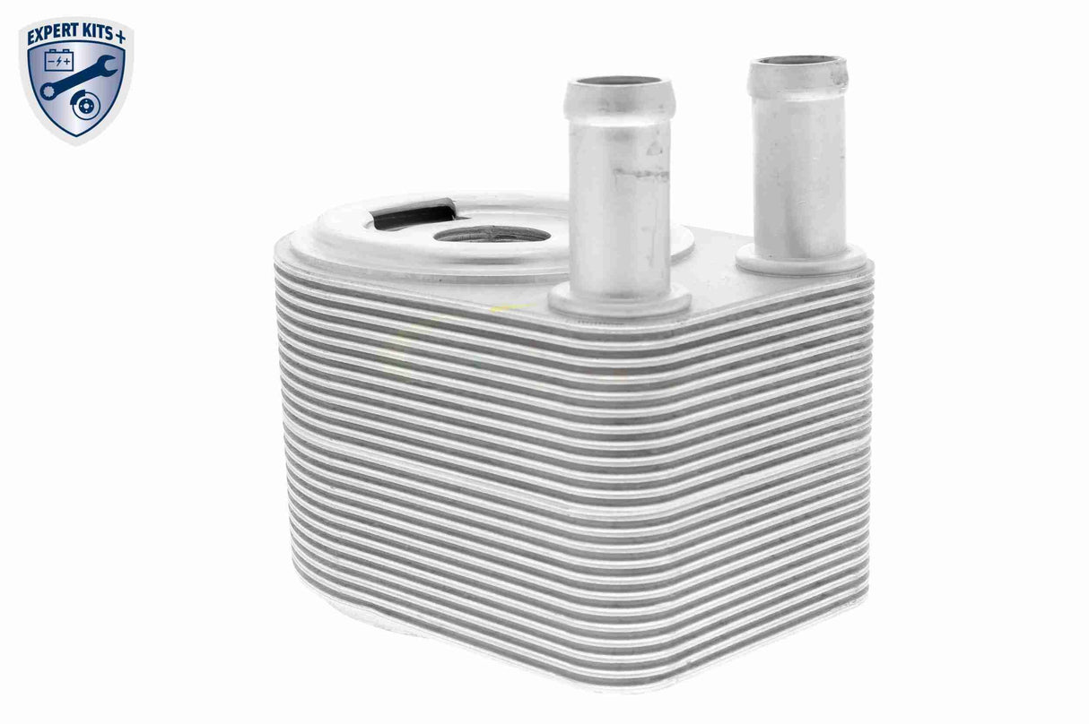 Oil Cooler, engine oil - V48-60-0028