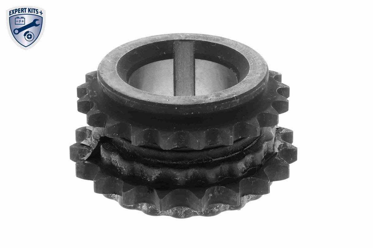 Timing Chain Kit - V30-10010