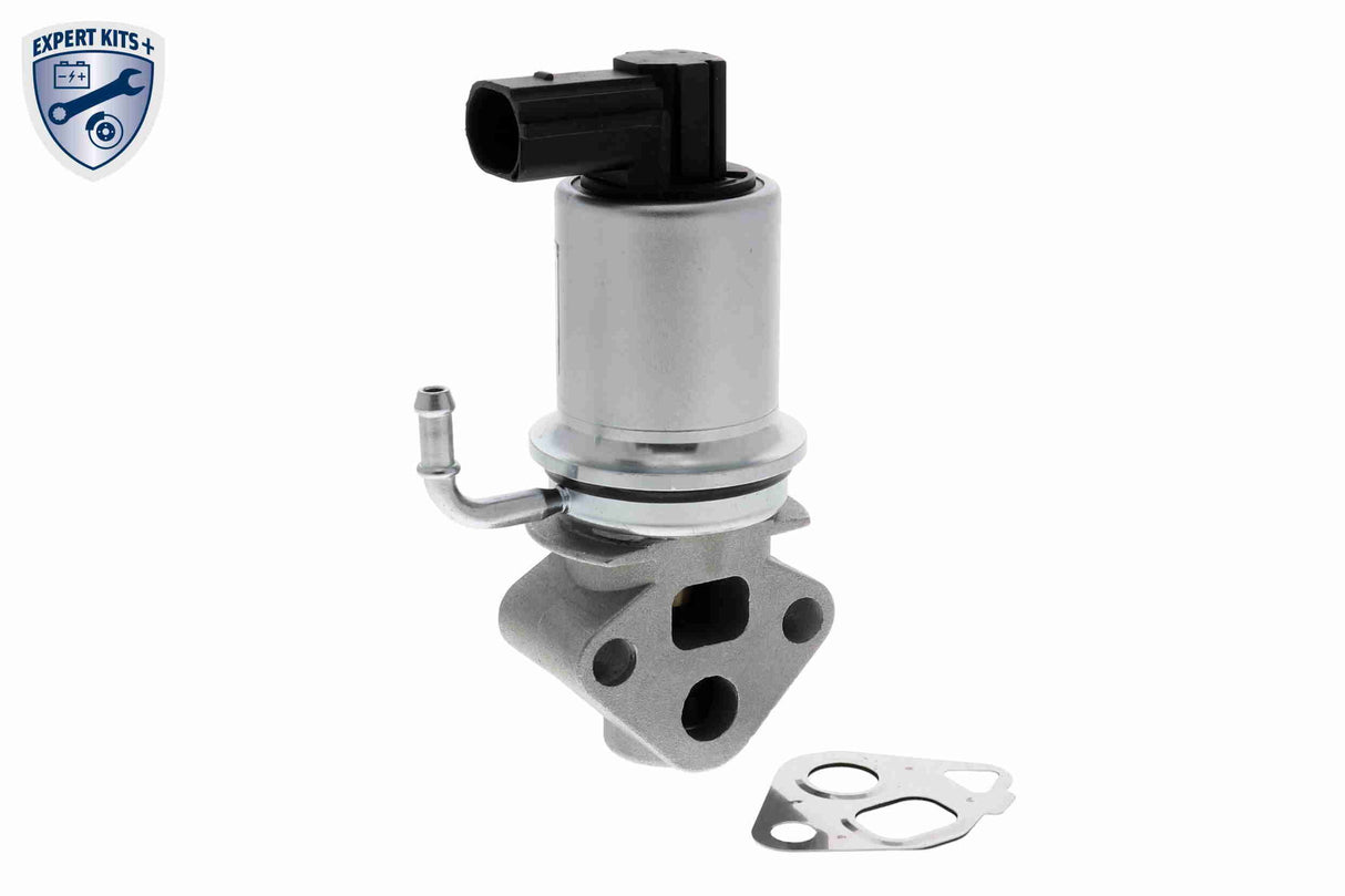Valve, exhaust gas recirculation - V10-63-0007