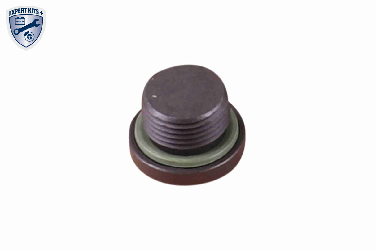 Parts Kit, automatic transmission oil change - V33-0897