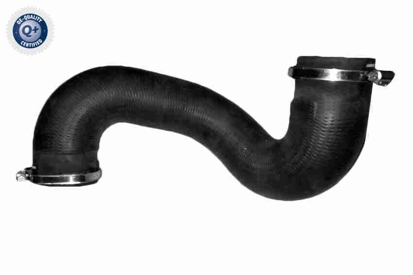 Charge Air Hose - V22-0854