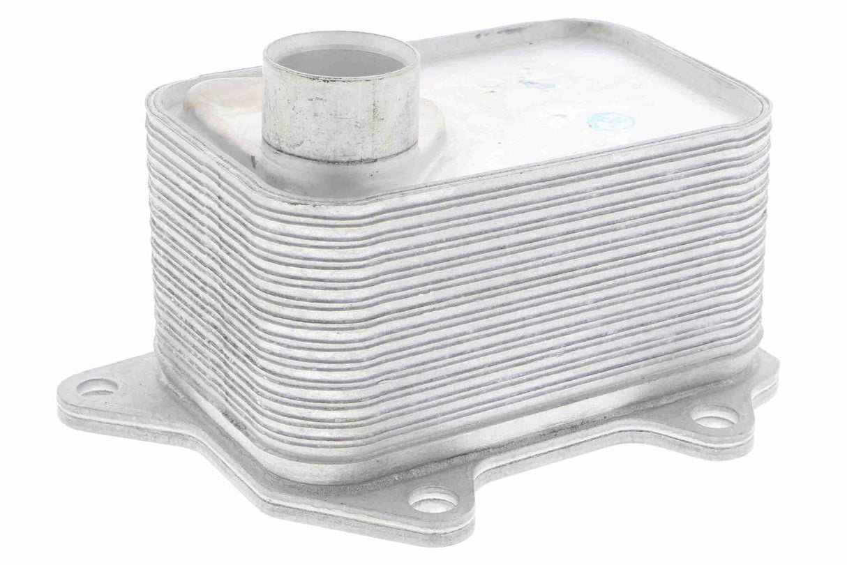 Oil Cooler, engine oil - V15-60-6068