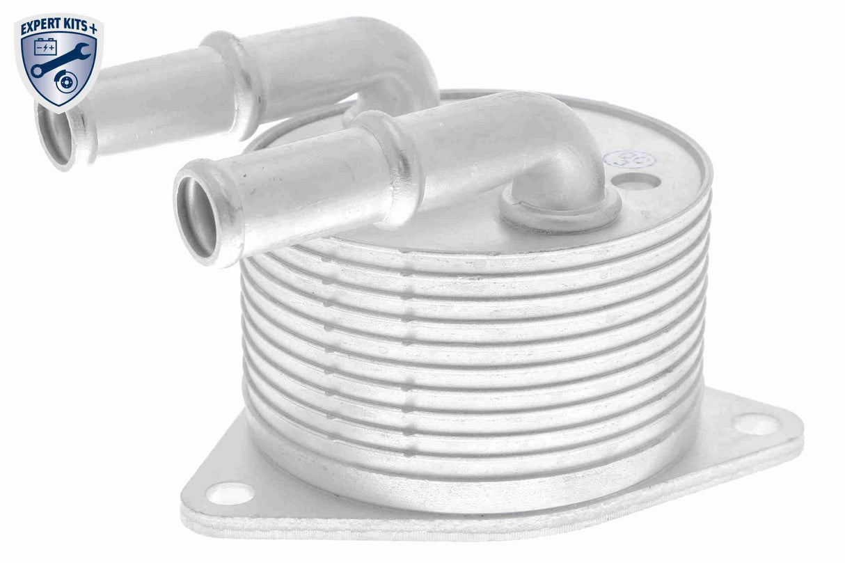 Oil Cooler, automatic transmission - V42-60-0012