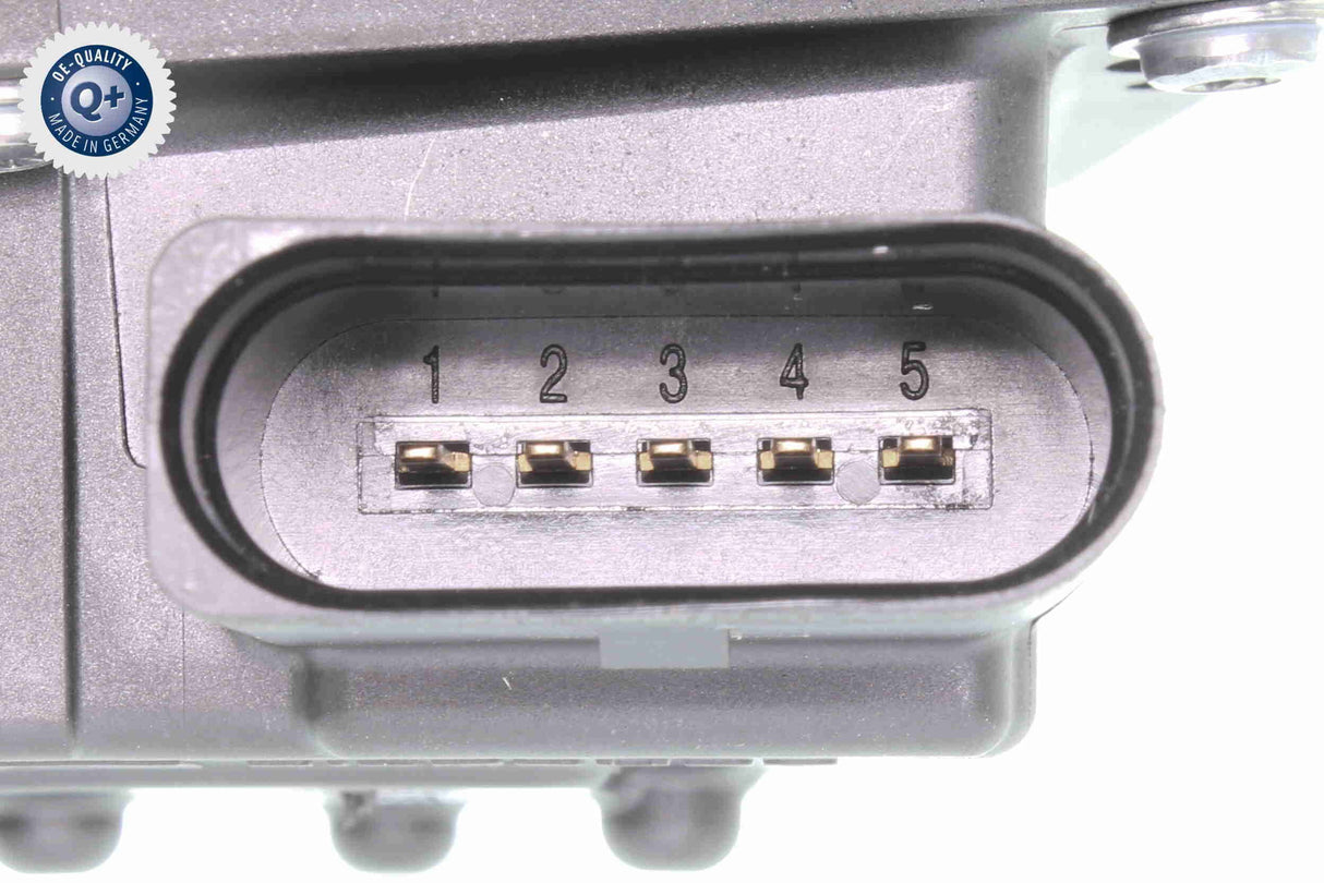 Throttle Body - V10-81-0087