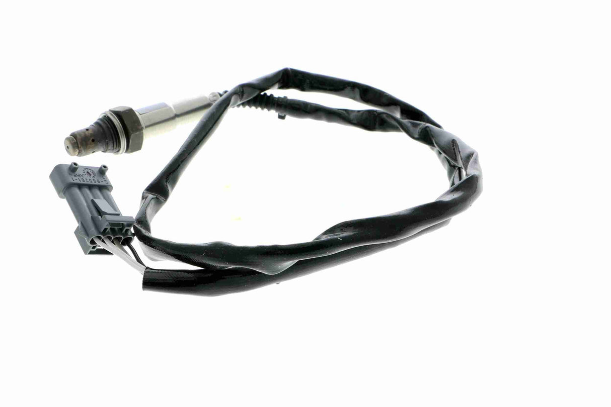 Oxygen Sensor - V95-76-0020