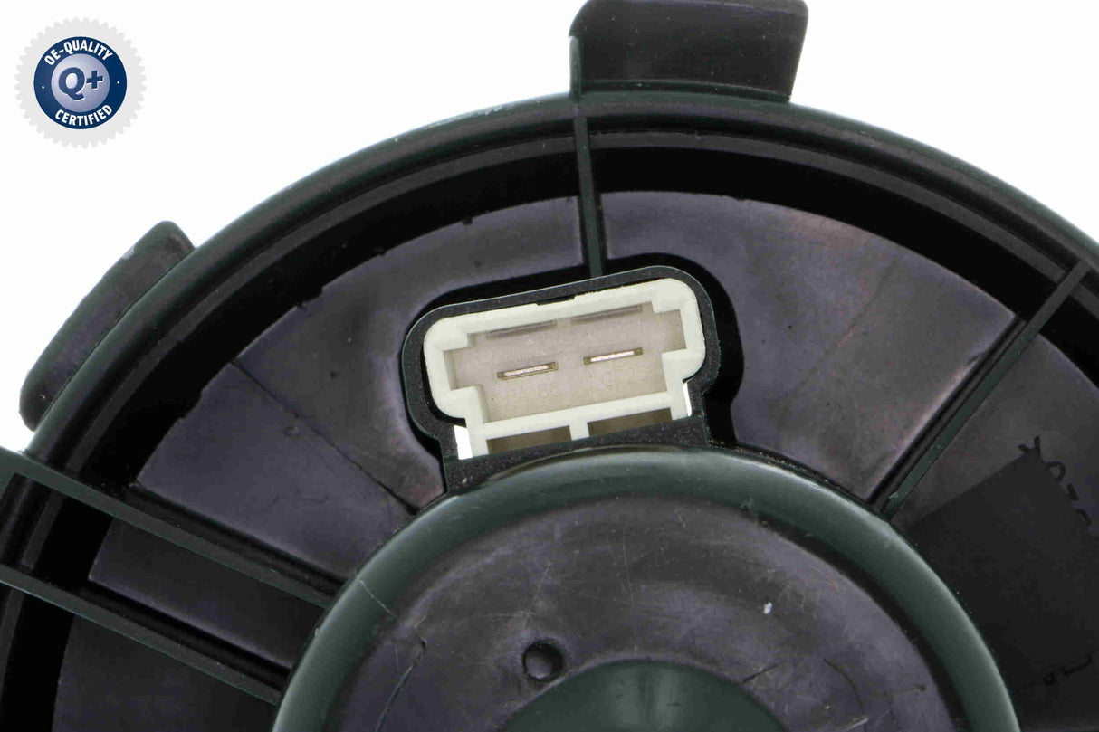 Interior Blower - V22-03-1824
