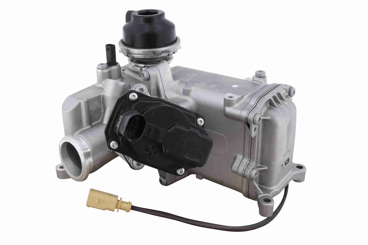 Cooler, exhaust gas recirculation - V10-63-0171