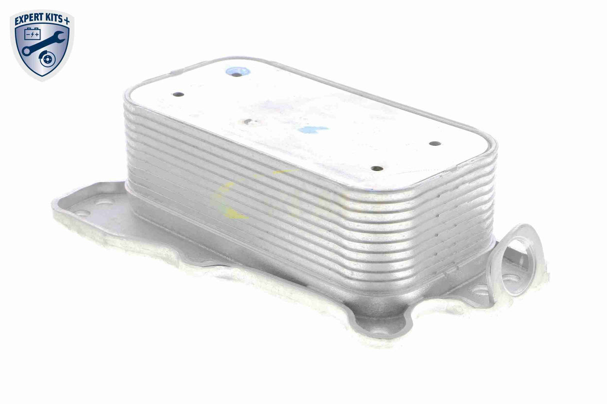 Oil Cooler, engine oil - V30-60-1321