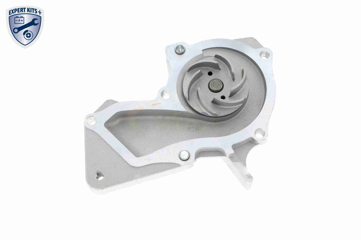 Water Pump, engine cooling - V25-50019