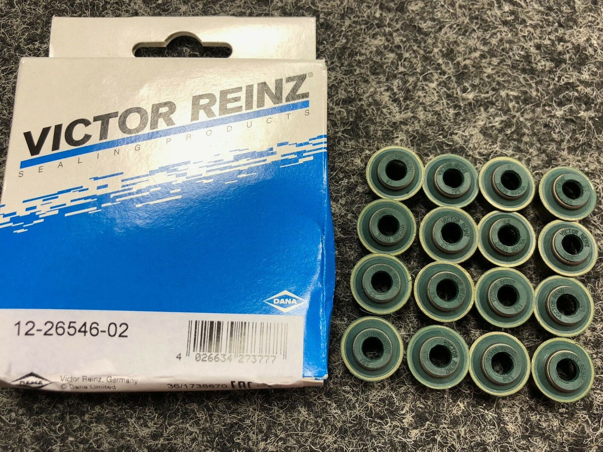 Vauxhall Opel C20LET CALIBRA VECTRA A TURBO C20XE 20XE 20XEJ Red top Reinz Valve Stem Seals 12-26546-02