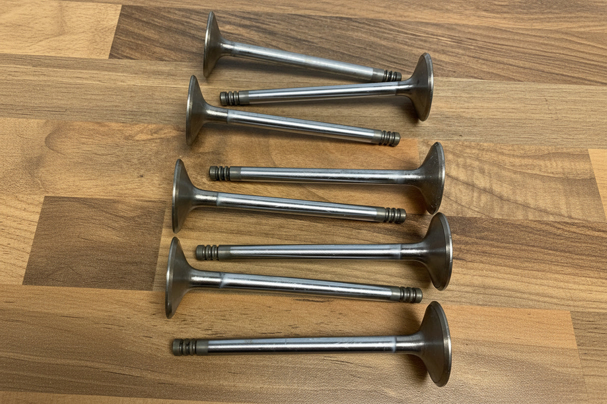 Vauxhall Astra Calibra Cavalier Vectra C20XE C20LET 33mm Inlet Valves Set of 8
