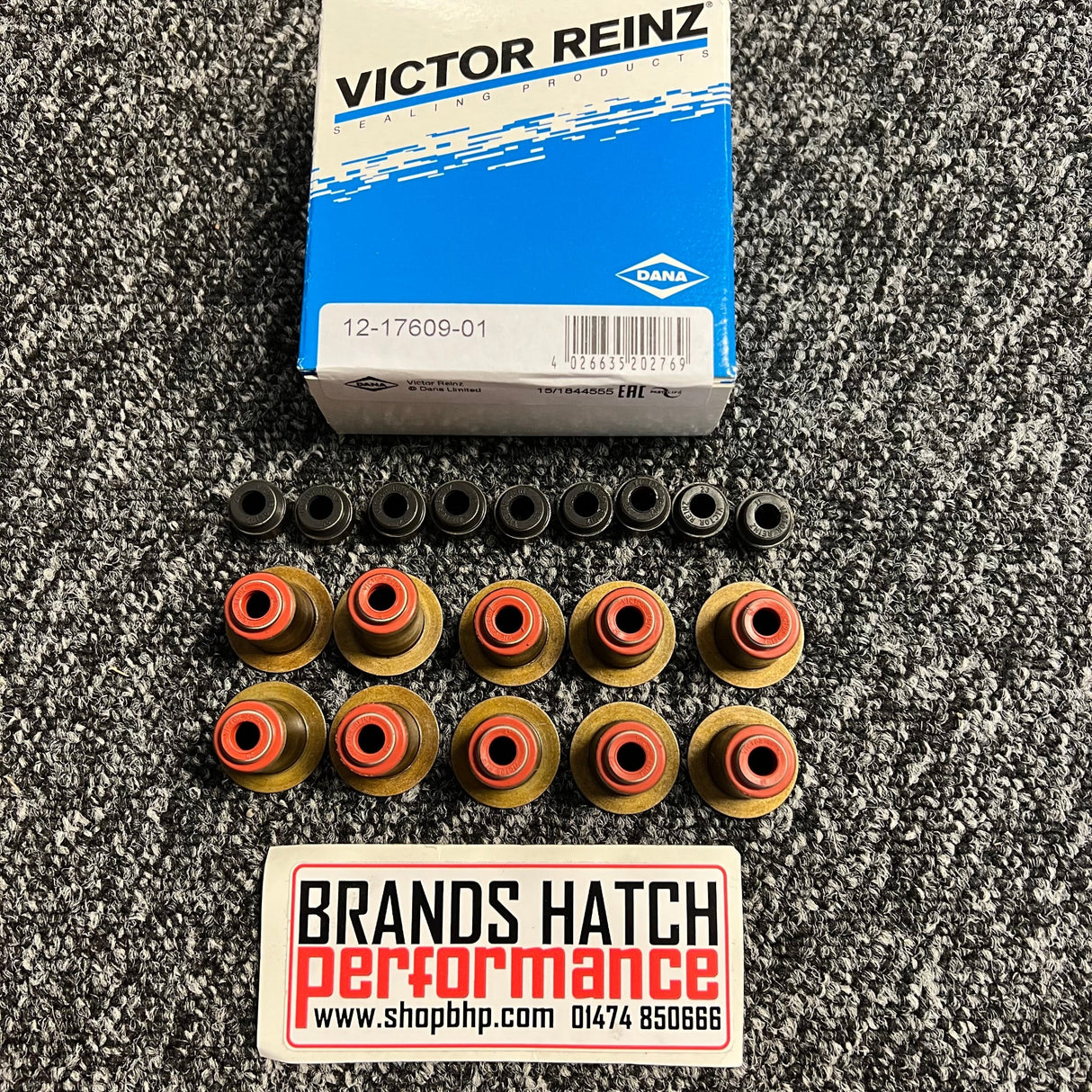 Audi TT RS 2.5 5 cylinder DAZA DNWA DNWC REINZ Valve Stem Seal Set