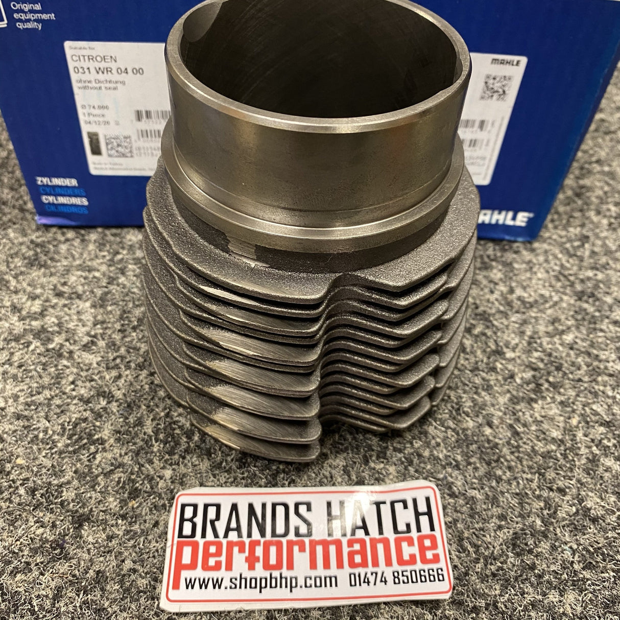 Citroen 2CV DYANE 6 MEHARI 0.6 STD 74mm Mahle Cylinder Liner Barrels & Pistons X2