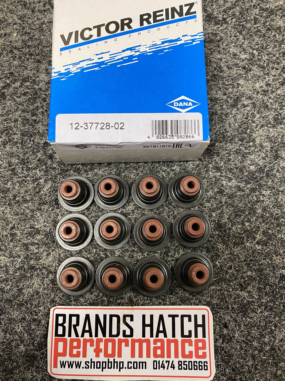 Ford 1.0 Ecoboost Fiesta Mk7 Focus M1DA M2DA SFJA Reinz Valve Stem Seal Set