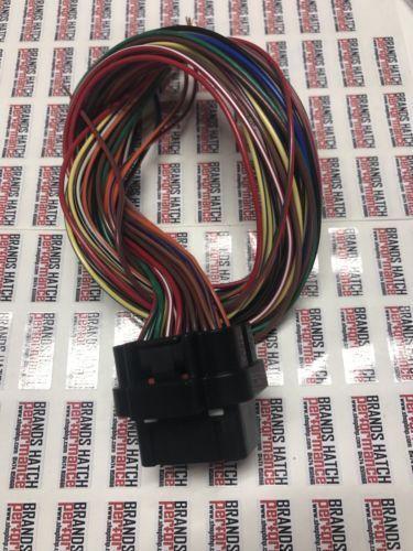 Link ECU G4 G4+ G4X 34 Way 400mm SHORT Terminated A Loom