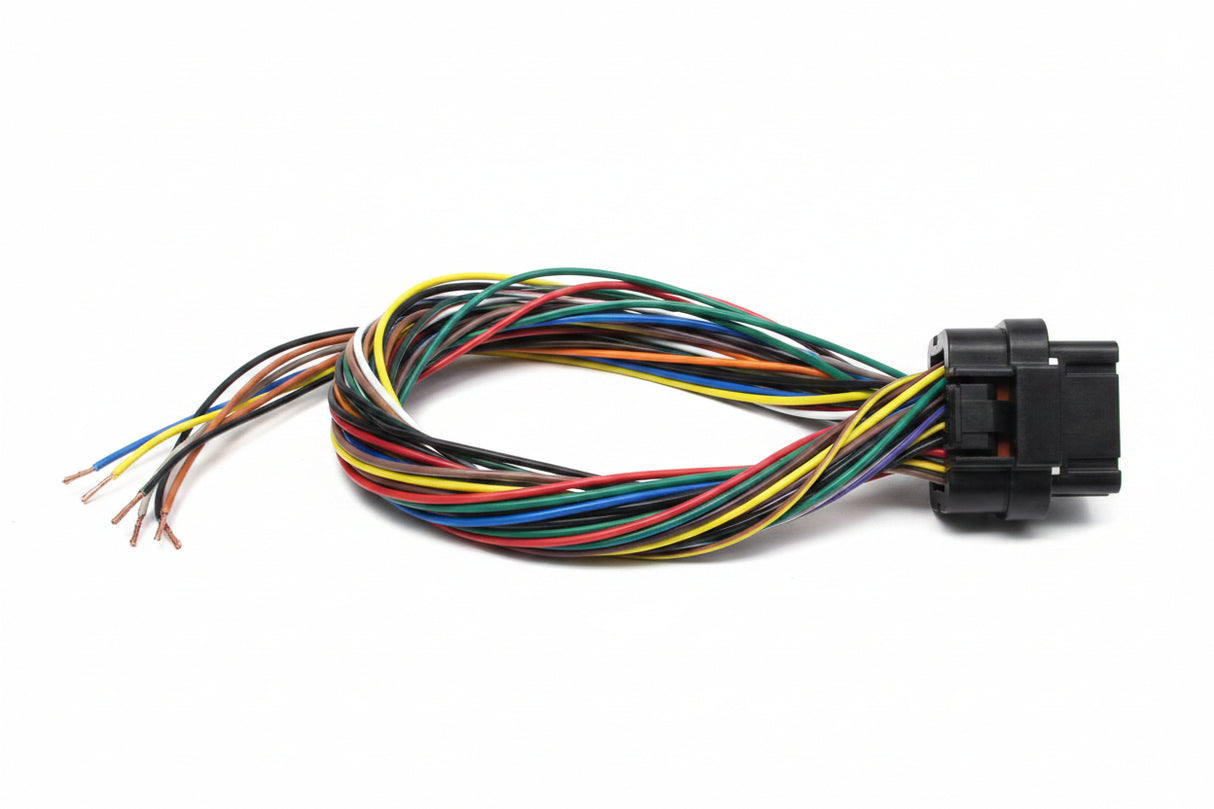 Link ECU G4 G4+ G4X 34 Way 400mm SHORT Terminated B Loom