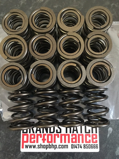 Valve Spring