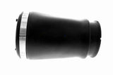 Air Suspension Strut - V20-50-0018-1