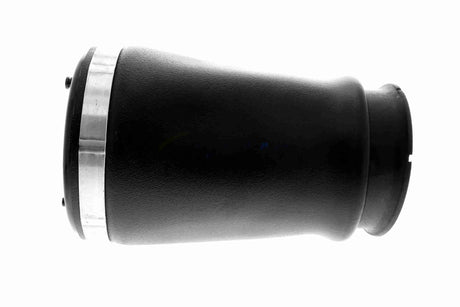 Air Suspension Strut - V20-50-0018-1