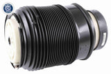Air Suspension Strut - V30-50-0005