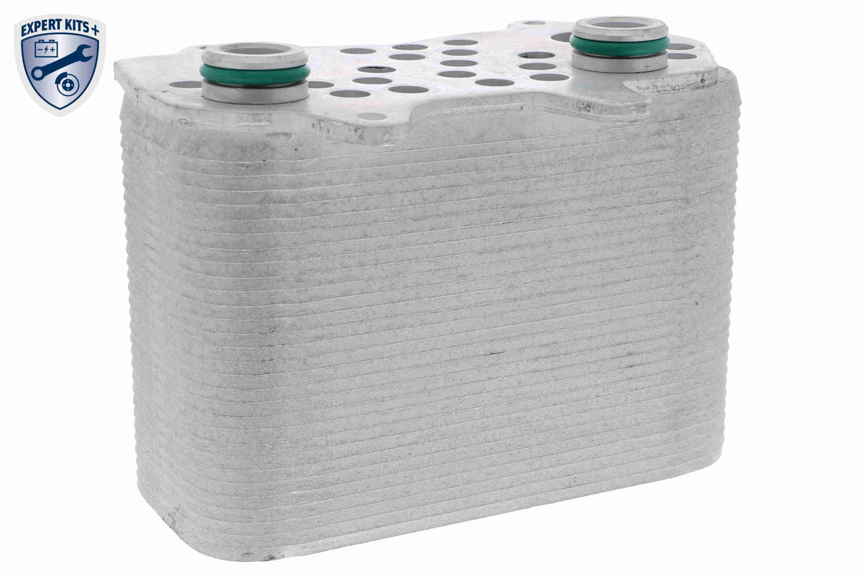 Oil Cooler, automatic transmission - V45-60-0001