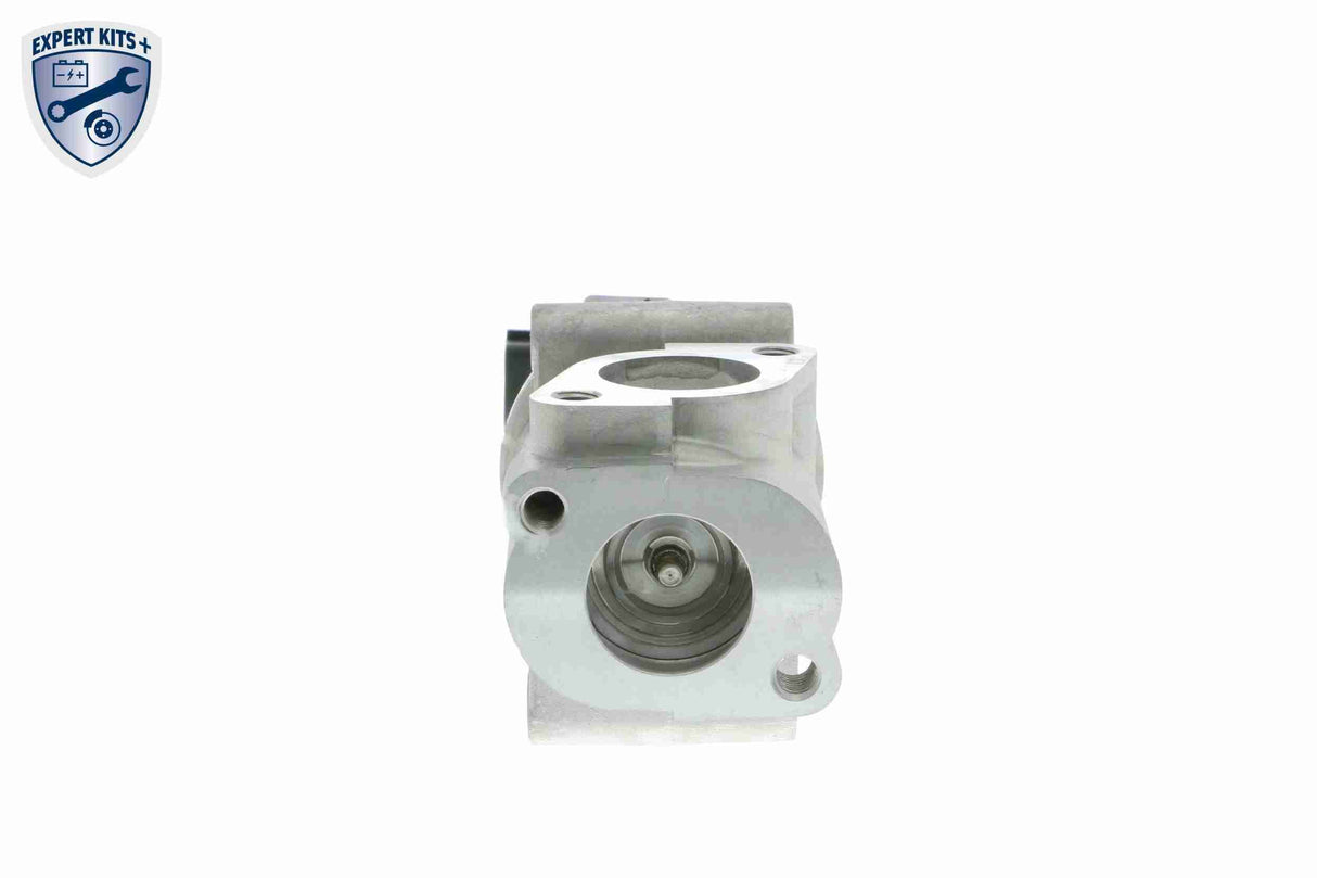 Valve, exhaust gas recirculation - V24-63-0010-1