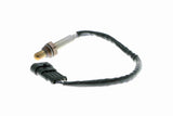 Oxygen Sensor - V24-76-0024