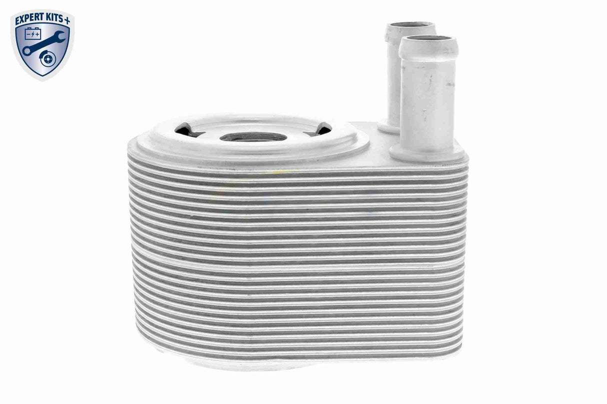 Oil Cooler, engine oil - V48-60-0028