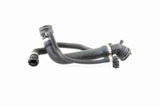Radiator Hose - V20-1691