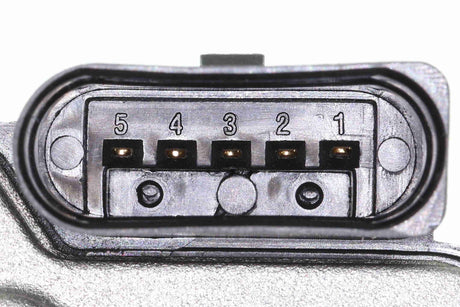 Throttle Body - V10-81-0084