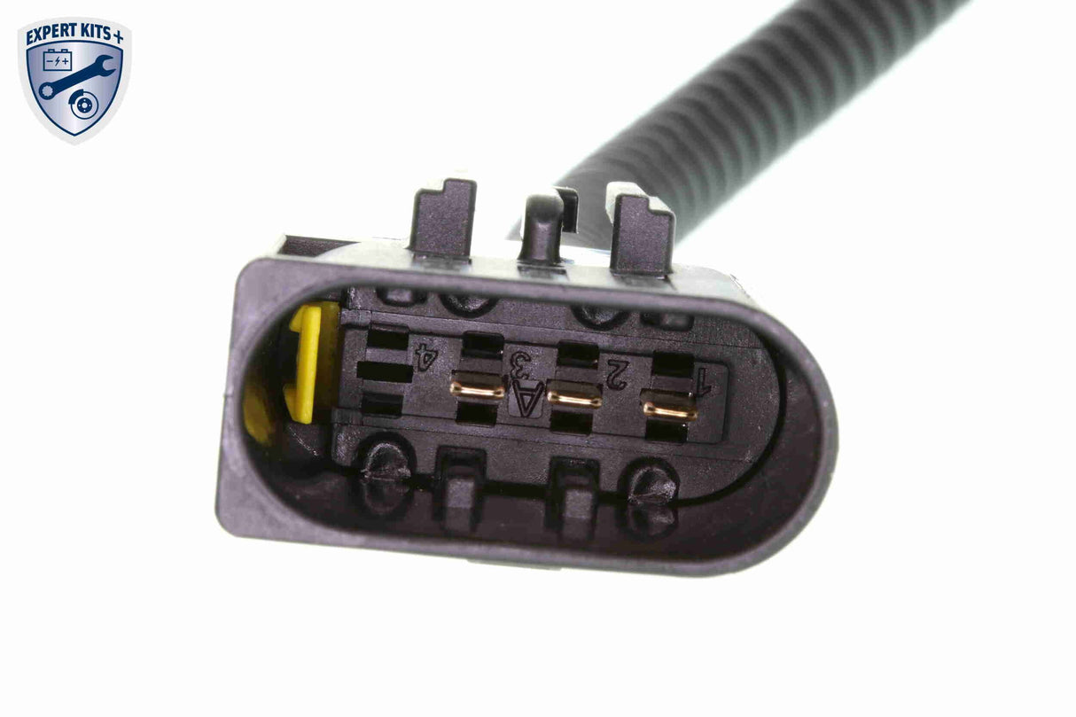 Throttle Body - V24-81-0002