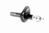 Shock Absorber - V42-0344