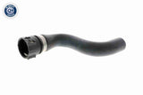Radiator Hose - V48-0147