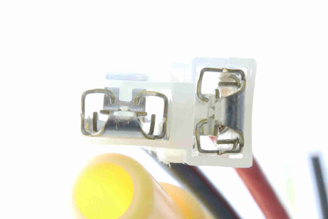 Fuel Pump - V10-09-1261