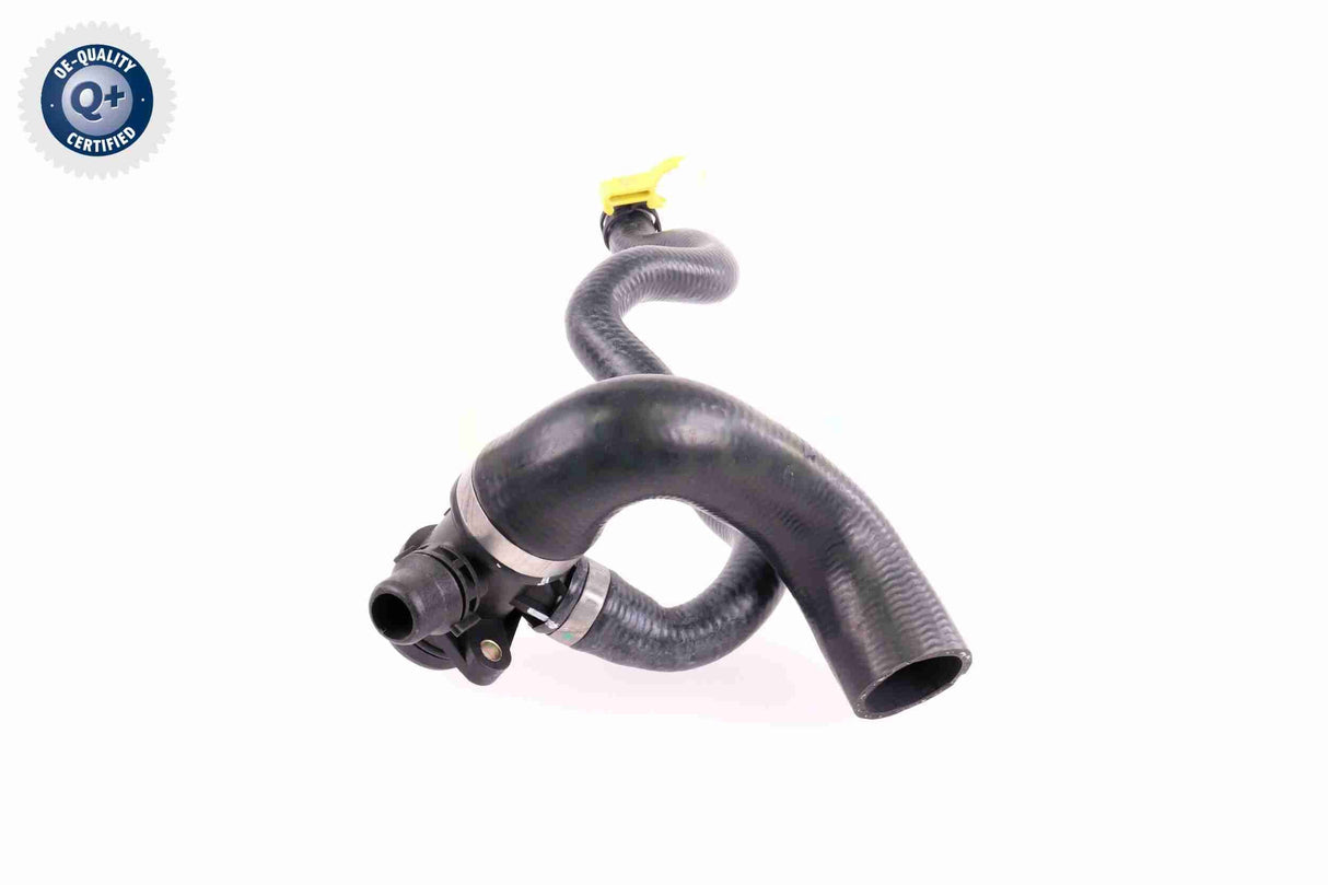 Radiator Hose - V20-3618