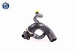 Radiator Hose - V20-3618